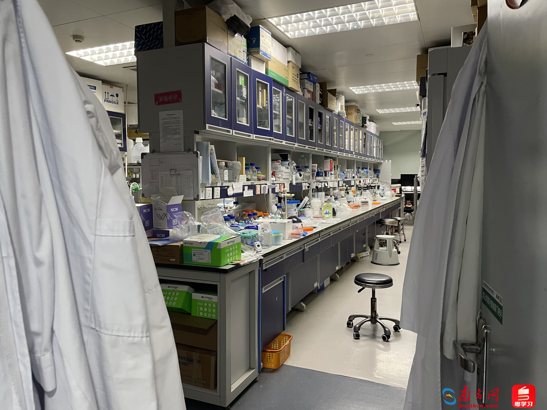 华南恶性肿瘤防治全国重点实验室。